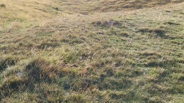 Doua zile singuri la cort pe muntele sfant al dacilor - Varful Gugu din Masivul Godeanu смотреть онлайн