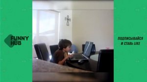 СМЕШНЫЕ ИСПУГИ ЛЮДЕЙ И ЖИВОТНЫХ #8 | ЛУЧШИЕ ИСПУГИ | FUNNY HUB