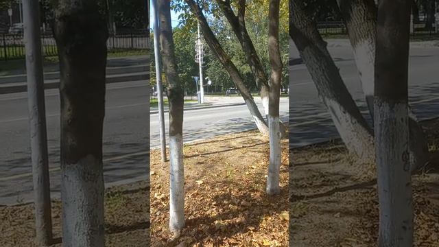 Разборки пьющих людей осторожно мат смотреть онлайн