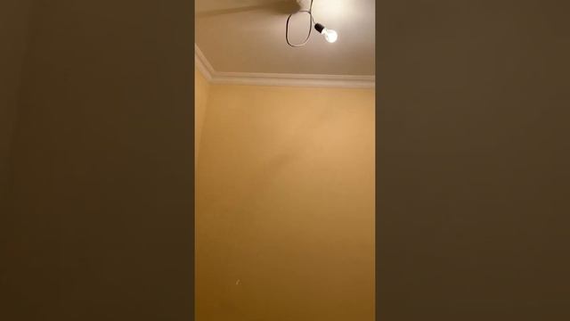 ЖИТЬ ХОРОШО! А хорошо жить в новой квартире, в ЖК ХОРОШЕВСКИЙ - ЕЩЁ ЛУЧШЕ! смотреть онлайн