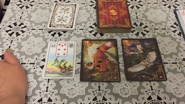 12-СОВЫ,ПТИЦЫ ?ОСНОВНЫЕ ЗНАЧЕНИЯ КАРТЫ ♦️ МАЛОГО ОРАКУЛА ЛЕНОРМАН? смотреть онлайн