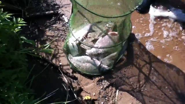 РЫБАЛКА С 24 НА 25 ИЮНЯ 2012.MOV на Москва реке смотреть онлайн