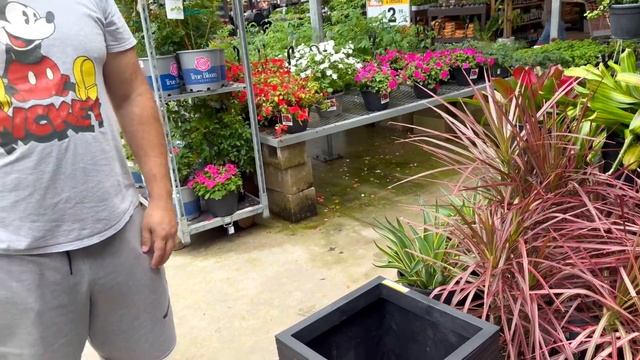 США Влог Едем на ЗАКУПКУ Новый ошейник COSTCO Покупаем Лёве компьютер Big big family in the USA VLO смотреть онлайн