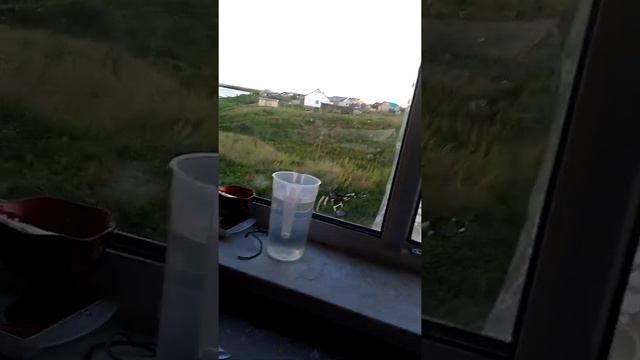 Короче говоря мы любим лета смотреть онлайн