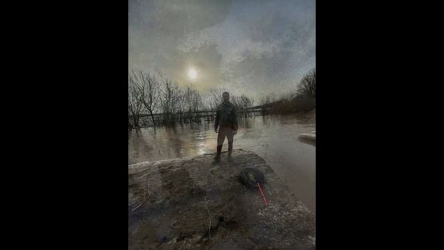 На то и щука Видео 297 смотреть онлайн