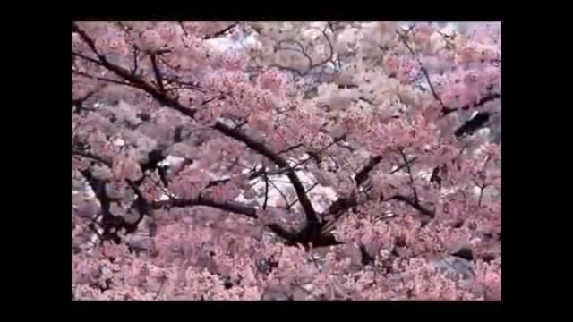 Шум чтоб печали ушли , а деньги пришли ! дуйко шумы, шумы дуйко ,шумы дуйко слушать @Андрей Дуйко смотреть онлайн