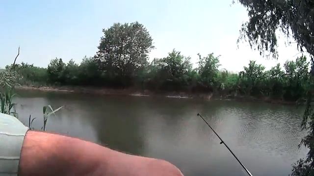 5. Змеи как на мед. смотреть онлайн