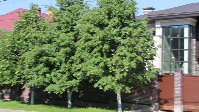 Gcdg.ru ВЕШКИ 4 Л.Толстого (7)