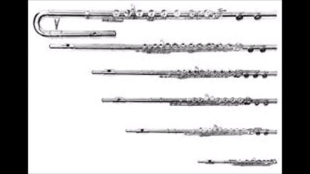 Concerto for Flute and Small Orchestra by Jim Theobald 1. Glenn's Glide смотреть онлайн