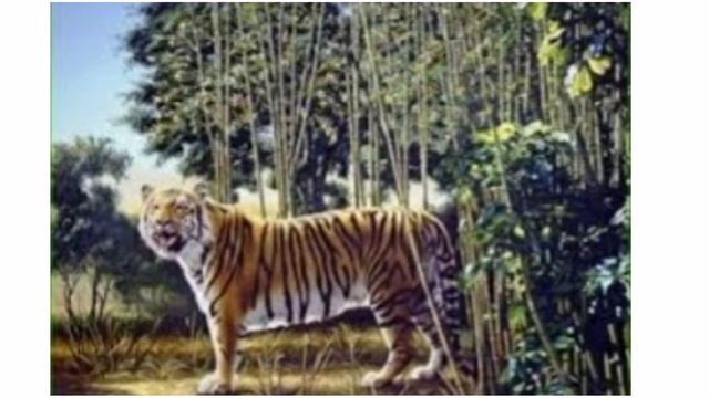 Find the hidden tiger puzzle?? Viral Social Media Puzzle! Trending Quarantine puzzle!!90% will fail смотреть онлайн