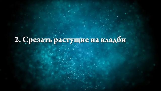 К чему снятся розовые розы - Онлайн Сонник Эксперт смотреть онлайн