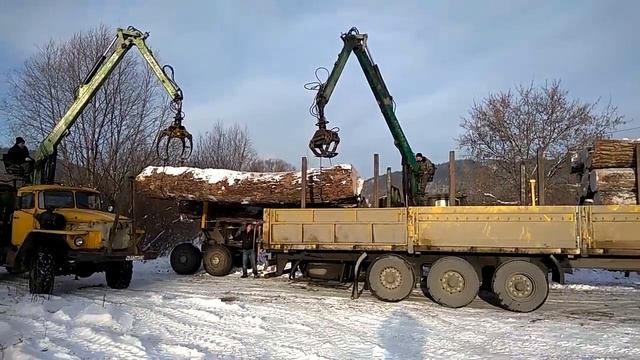 Бревно 4 тонны смотреть онлайн