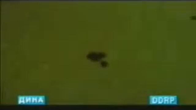 Гр Эхсон Нашьаманди 201345