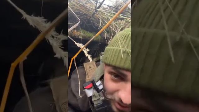 Чубатые прячутся в норы.mp4 смотреть онлайн