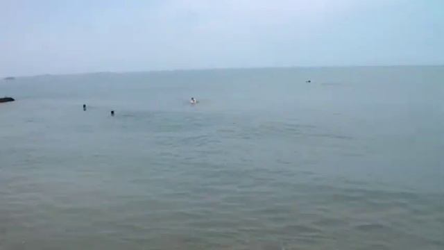 Адлер. смотреть онлайн