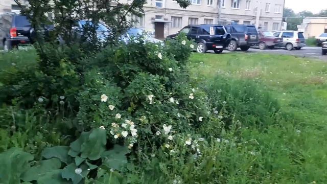 КАК ЖЕ ХОРОШО ДОМА🥰 смотреть онлайн