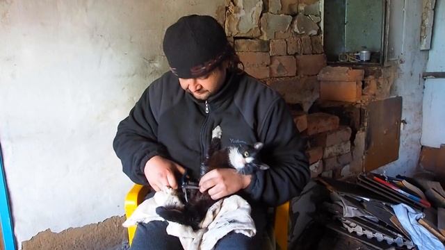 Кошка вымазалась в отработанном масле, убираю масло смотреть онлайн