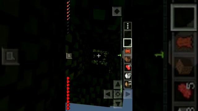 Nova seri no canal A fazenda # 1 смотреть онлайн
