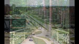 город сосновый бор ленинградская область