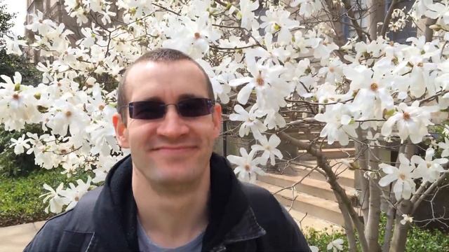 ЭТО КРАСИВО! Spring bloom in CLeveland Ohio USA. Цветение! ? смотреть онлайн