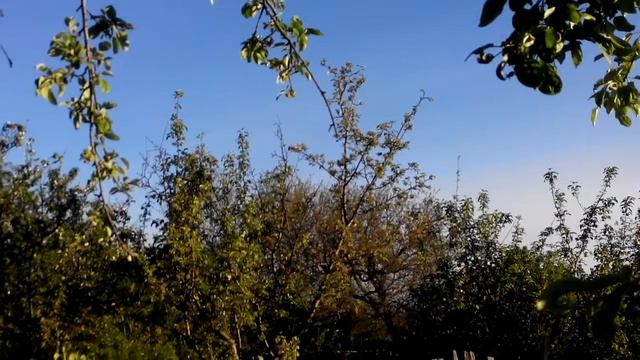 И ответила кукушка три года смотреть онлайн