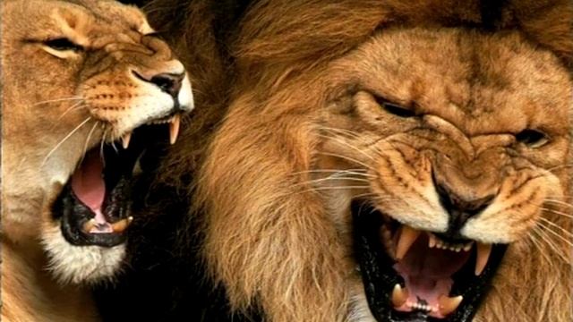 Expresso takes a look at what’s trending online смотреть онлайн