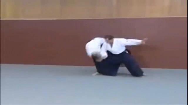 Aikido Vs Karate.  Best Aikido Techniques