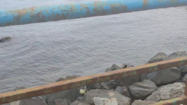 Партенит Крым. Как выглядит набережная и пляж в п. Партенит. смотреть онлайн