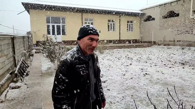 Игровые голуби! В ГОСТЯХ У ДЯДИ РАФИКА. БАКИНСКИЕ ГОЛУБИ УЗБЕКИСТАНА. смотреть онлайн