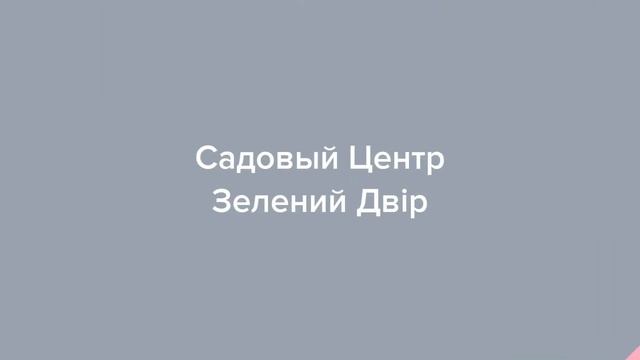 Садовый Центр Зелений Двір - Абрикос Черный Бархат ЗКС смотреть онлайн