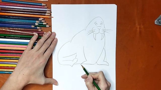 Как нарисовать моржа. Онлайн-школа рисования "Малевашки" смотреть онлайн