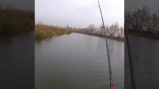 ЩУКА. РЫБАЛКА НА ДЕСНЕ. НОЯБРЬ 2017 смотреть онлайн