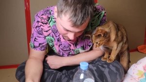 24 ЧАСА В КАРТОННОМ ДОМЕ ДЛЯ КОТОВ | ЖИВЁМ С БИЛЛИ И КОТАМИ