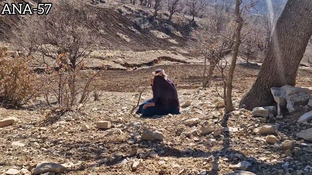 #Not having a home: the hard life of a nomadic mother and the injury of her child in the mountains смотреть онлайн