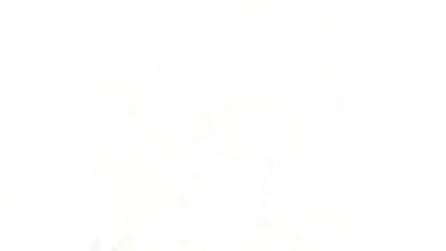 БАПТИЗИЯ  (BAPTISIA)  сем. Бобовые