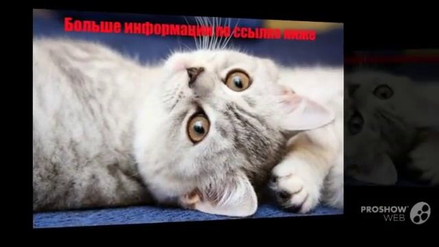Гель Cristaline смотреть ролик смотреть онлайн