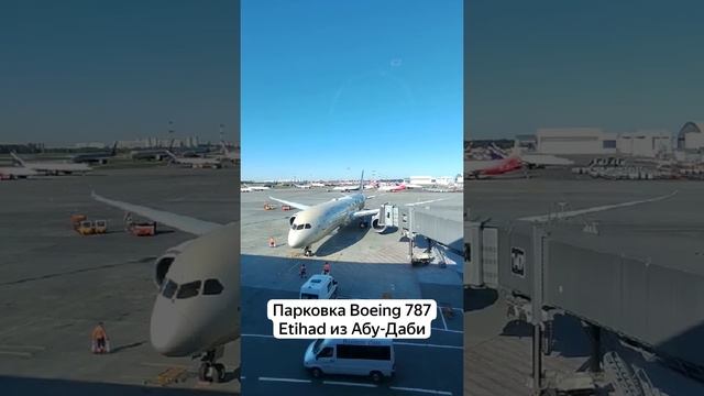 Etihad airways parking at SVO смотреть онлайн