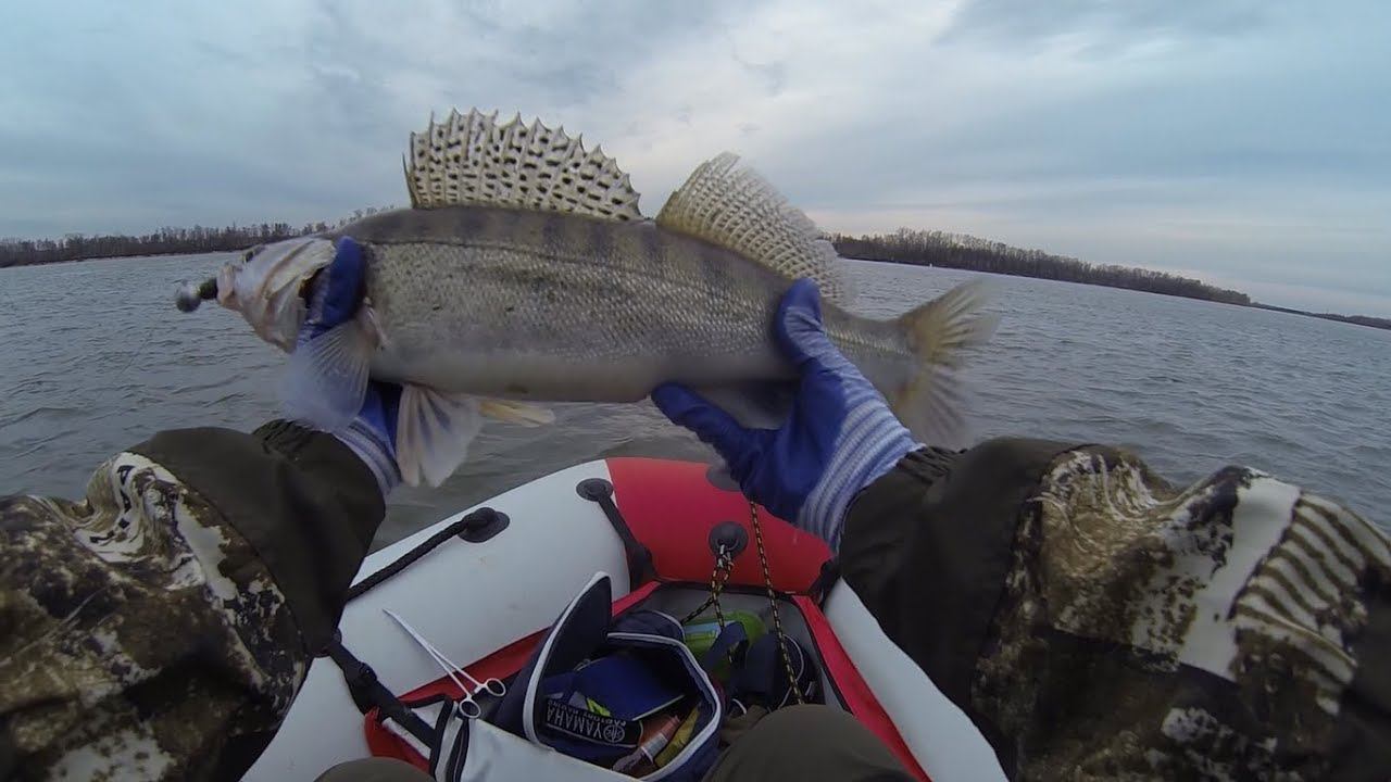 Рыбалка на судака. Выезд в компании с Sibiryak007