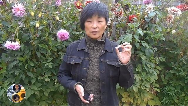 Благодарю друзей за поздравления к дню рождения и приглашаю смотреть онлайн