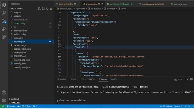Fixed CORS Error In Angular Framework смотреть онлайн