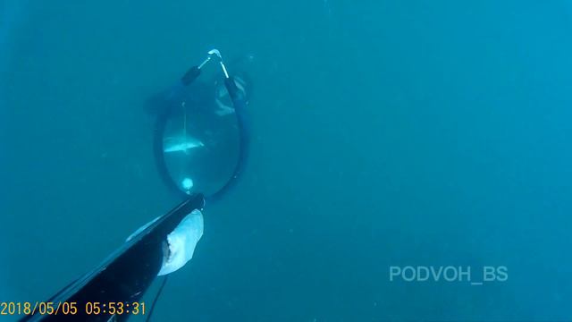 МАЙСКАЯ РЫБАЛКА 2018. ЧАСТЬ 1. смотреть онлайн