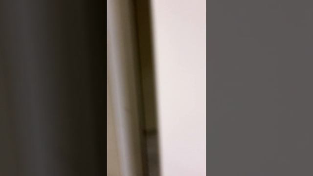 Апартамент «Золотой Ананас» смотреть онлайн