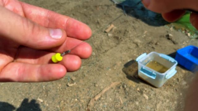 ЛОВЛЯ КРУПНОГО КАРАСЯ | Рыбалка на карася на ФЛЭТ метод |бешенный клёв карася смотреть онлайн