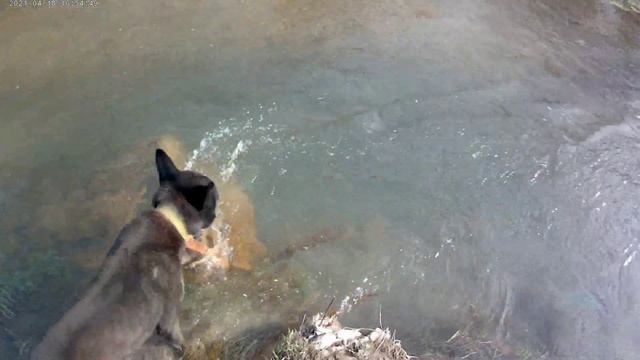 Экшн видеокамера Aceline S-60 смотреть онлайн