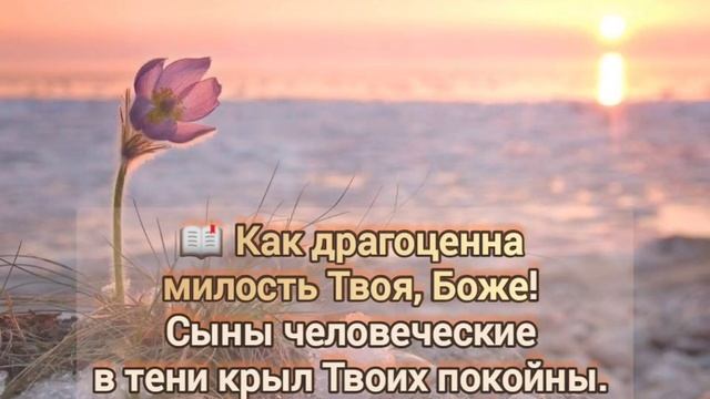 ?МИЛОСТЬ ТВОЯ надо мной велика, Ночью и днем окружает меня...#ХристианскиеПесни#НебеснаяОтчизна# смотреть онлайн