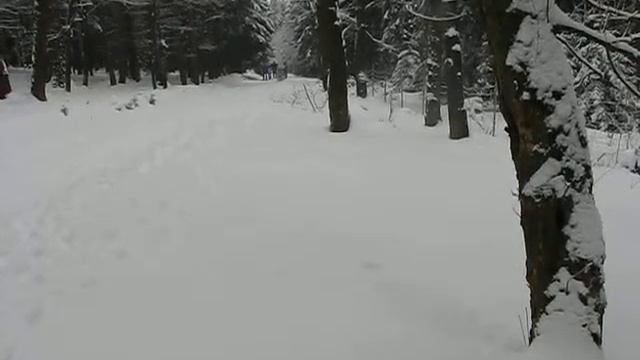 crottendorf 2013 смотреть онлайн