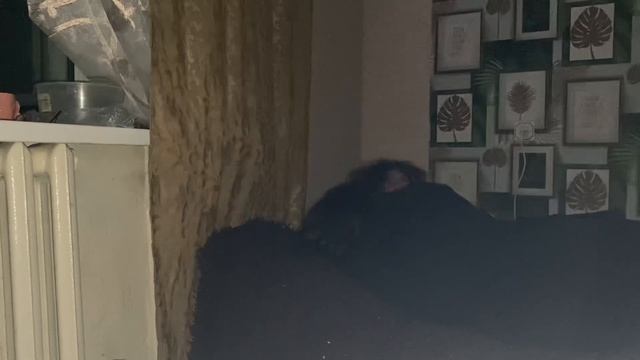 ВЫЗВАЛИ МАТЕРНОГО ГНОМИКА И ОН ПРИШЕЛ!!! ШОК!!! смотреть онлайн