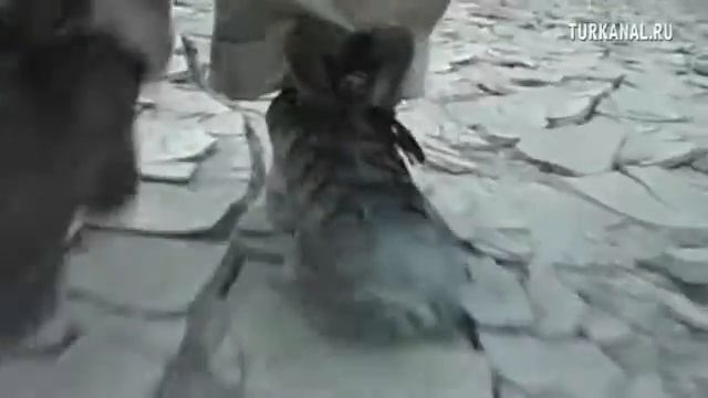 Вокруг Света. Часть 3. Китай. Огненные горы. смотреть онлайн