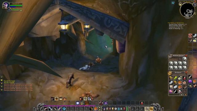 (8/?) WoW Classic Leveling 1-60 FULL 1080 60FPS - NE Hunter POV, Ambience NO CHAT ASMR Minimalism смотреть онлайн