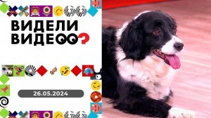 Видели видео? Выпуск от 26.05.2024